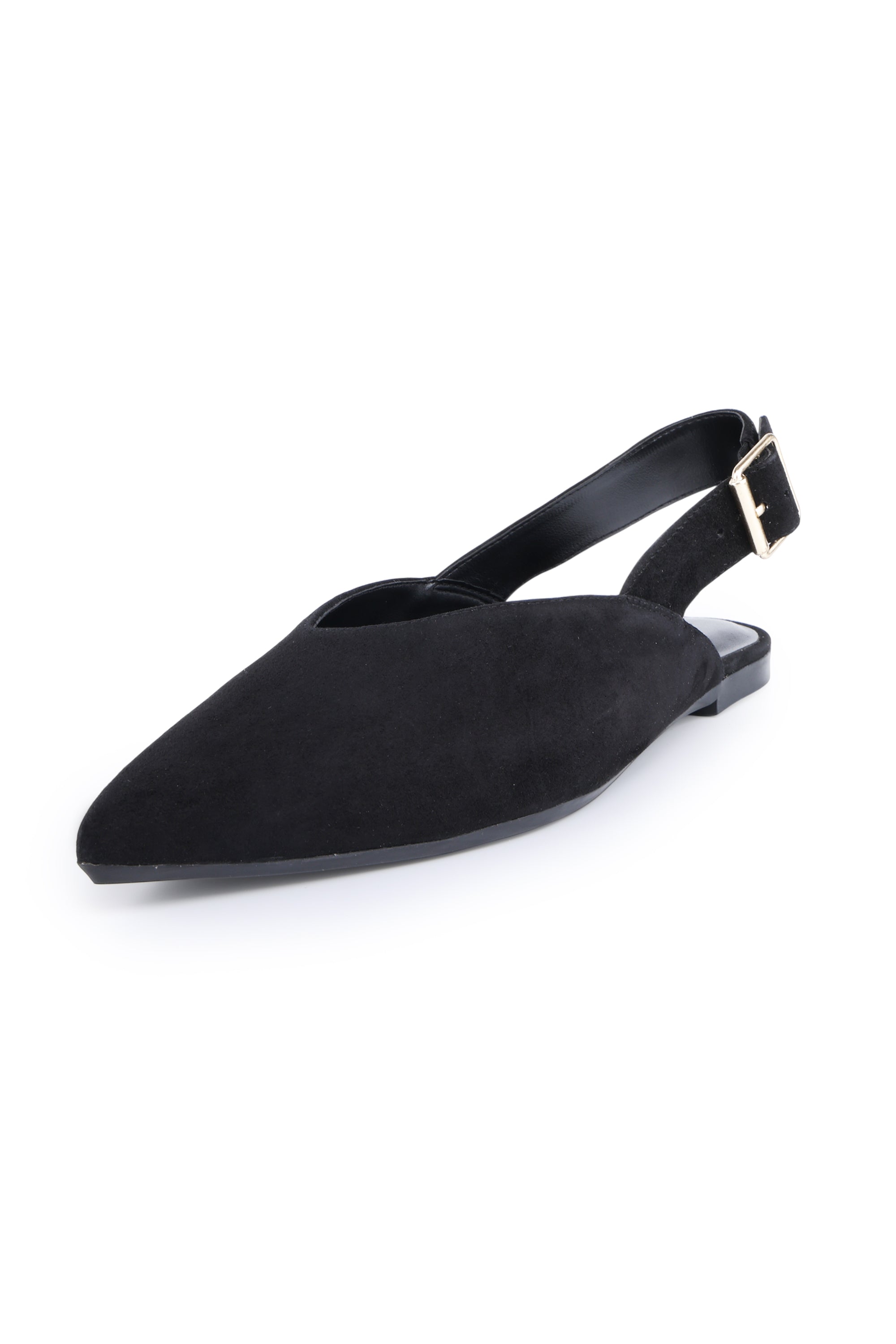 Shenley-Black