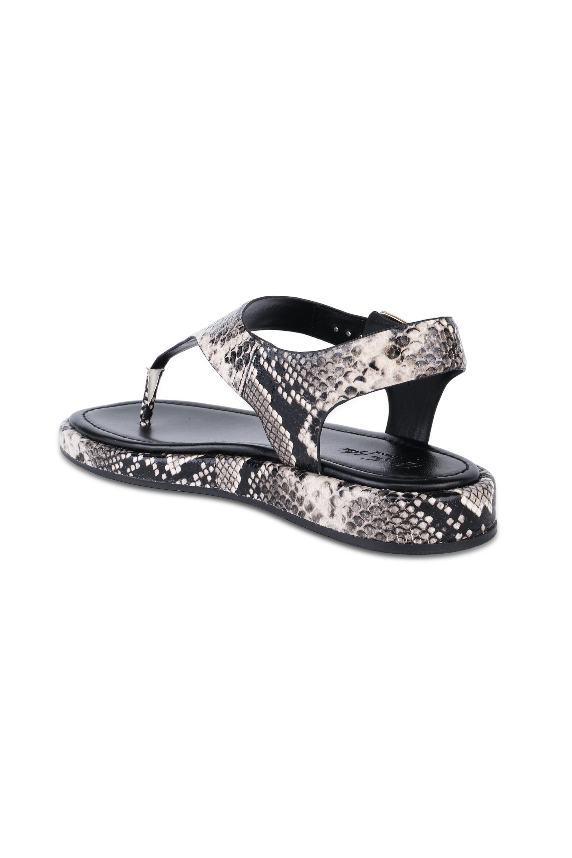 Adelie-Python