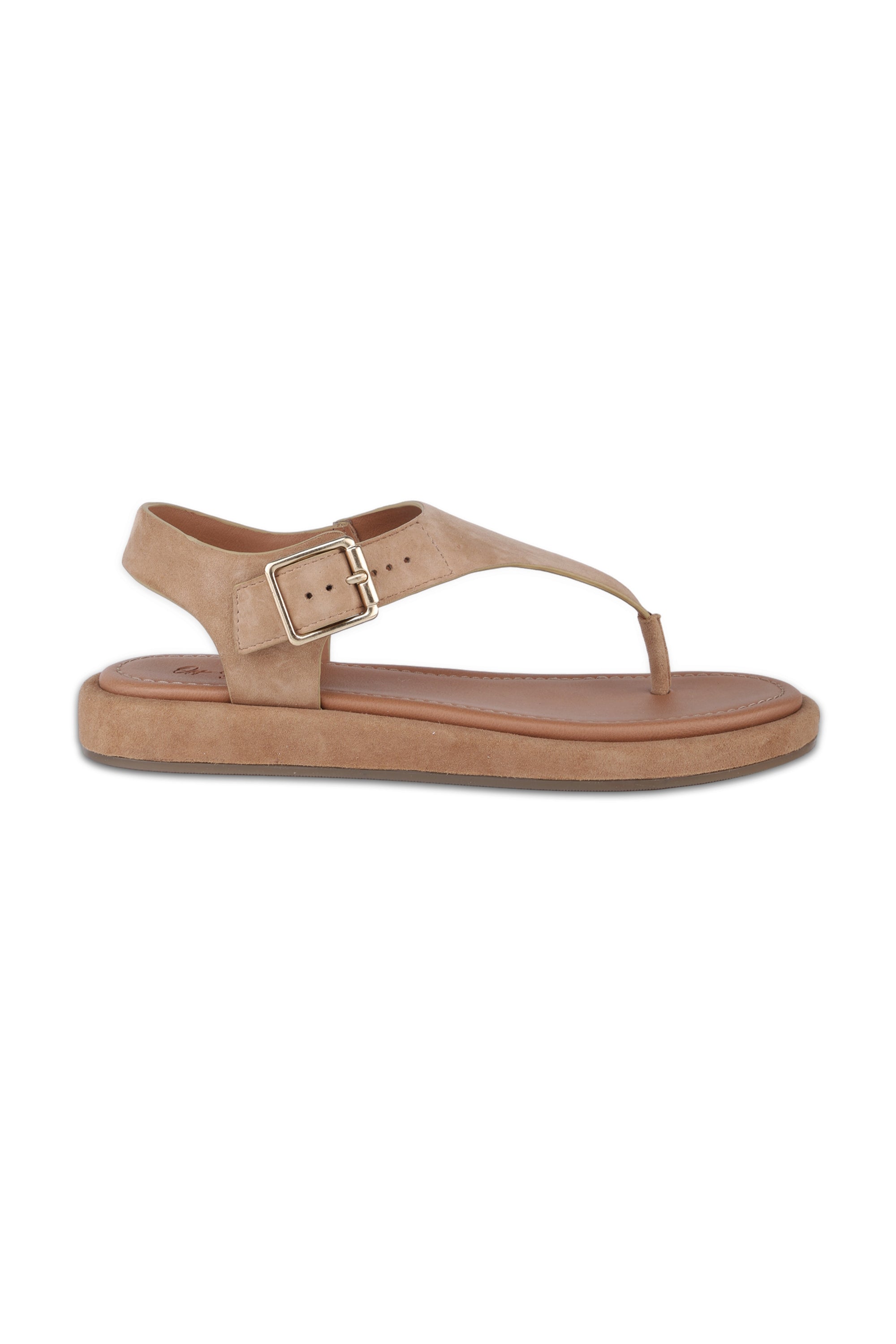 Adelie Blush