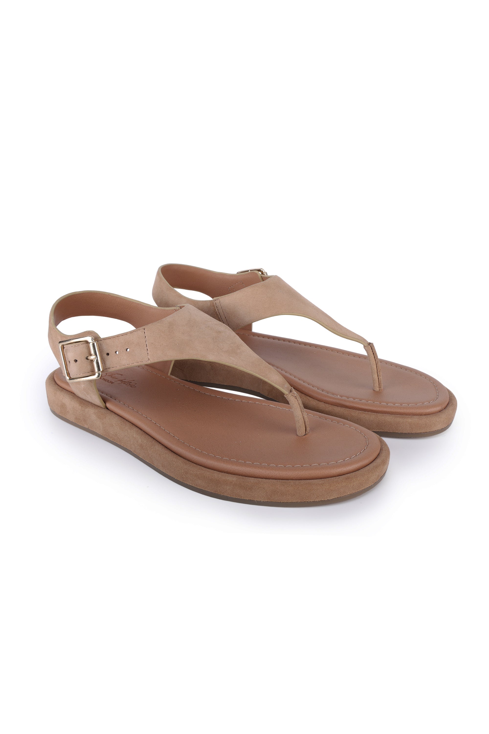 Adelie Blush
