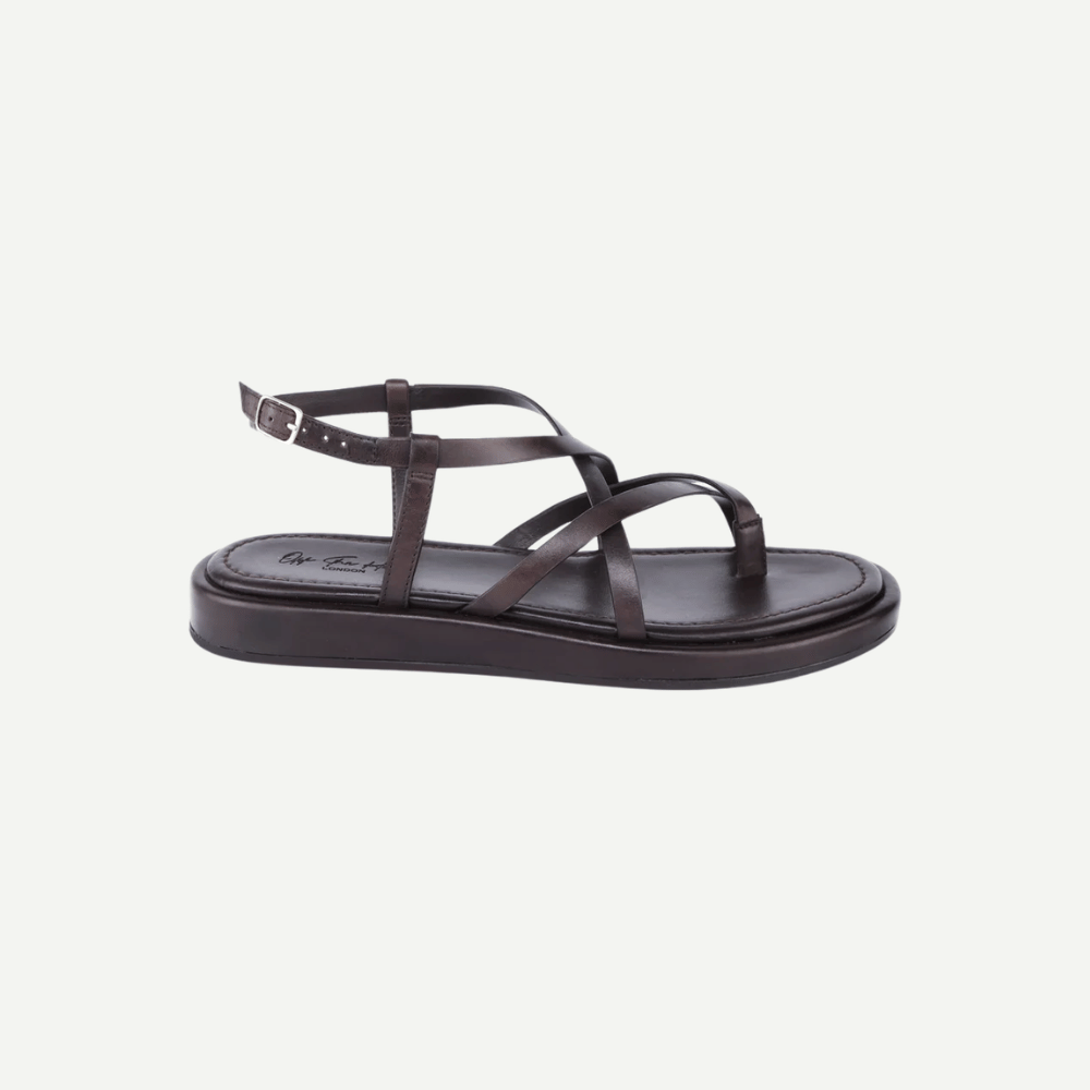 Zen-Brown