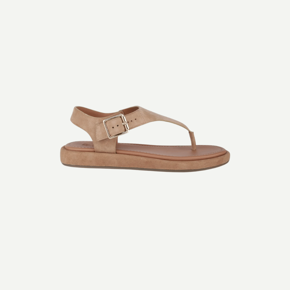 Adelie Blush
