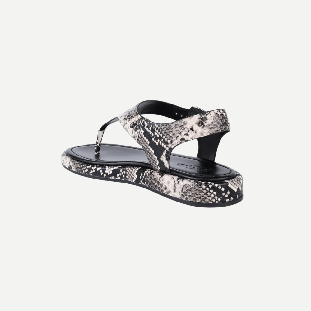 Adelie-Python