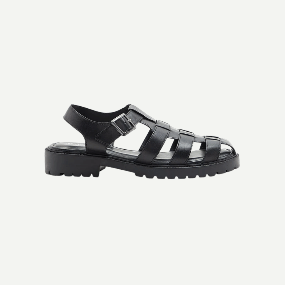 Schmitt-Black