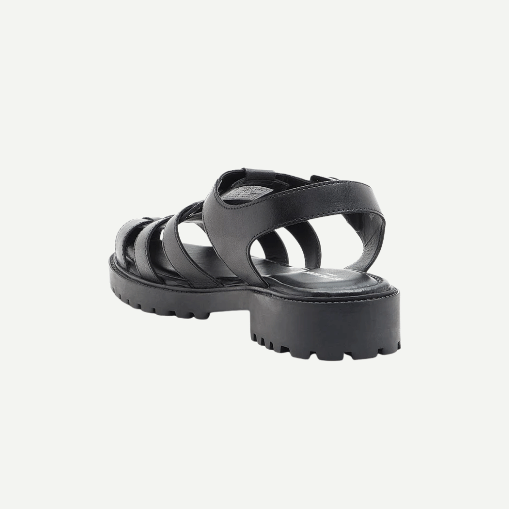 Schmitt-Black