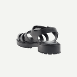 Schmitt-Black