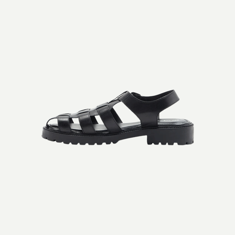 Schmitt-Black