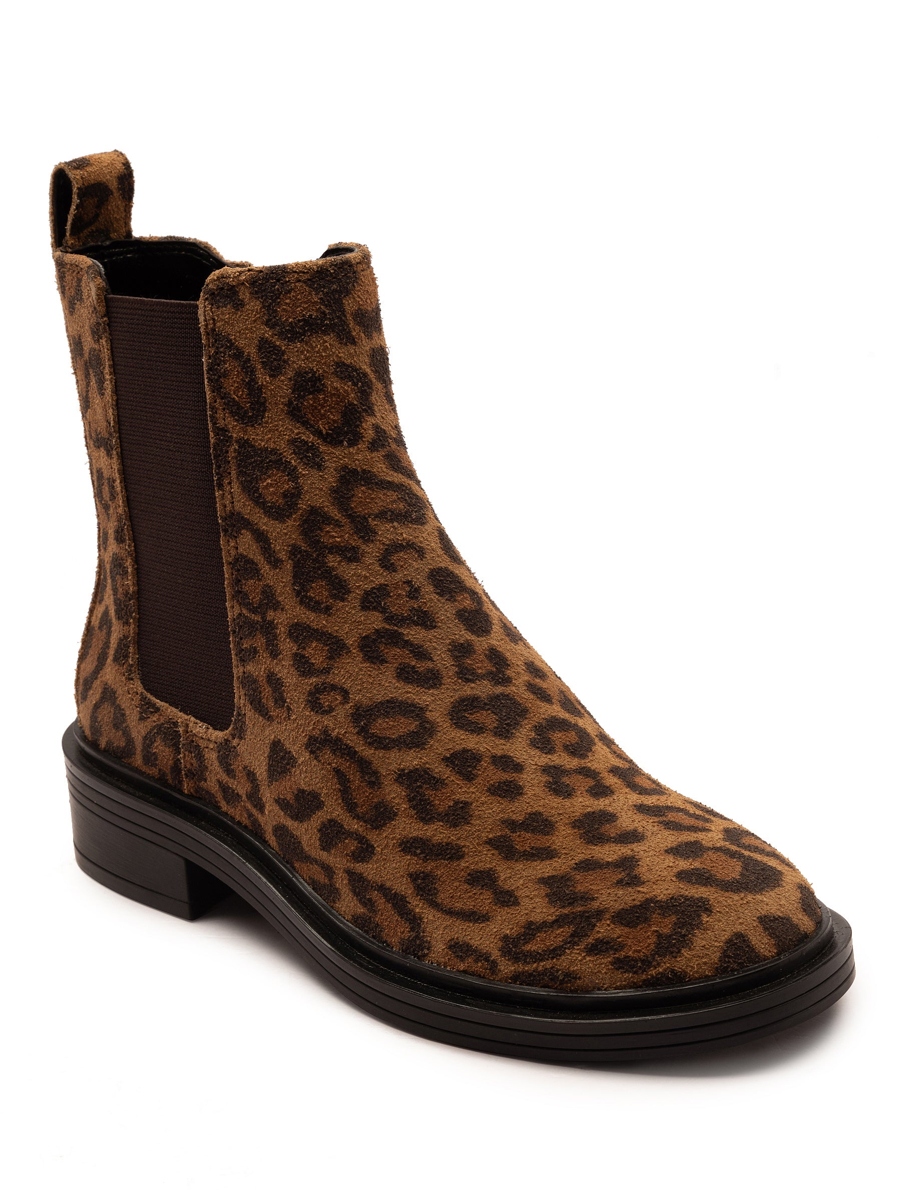 KIKI-LEOPARD