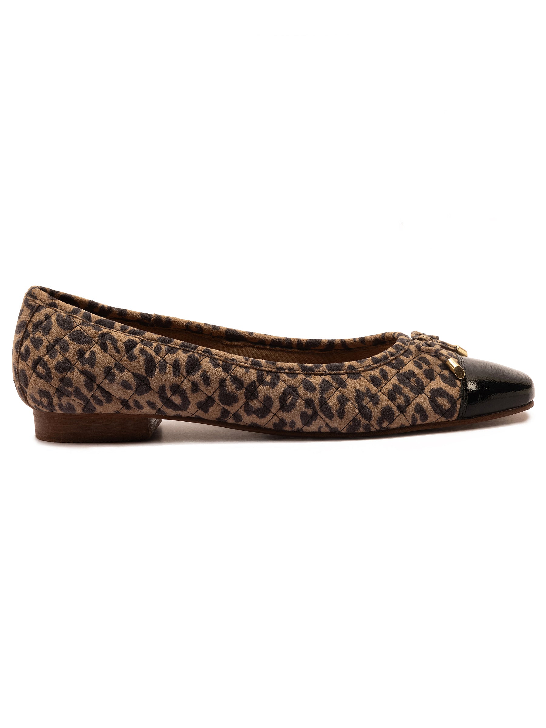 Sloane Leopard