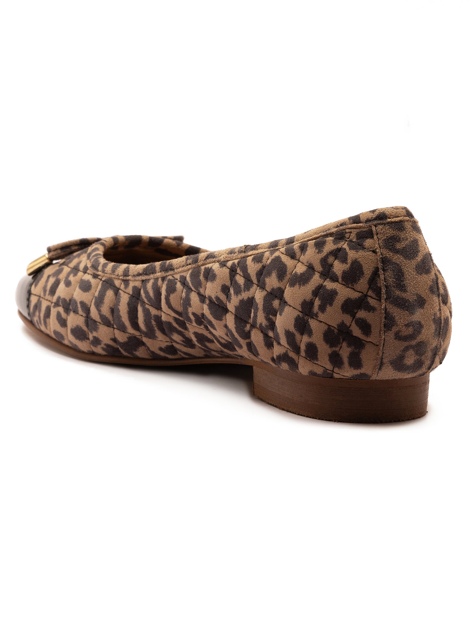 Sloane Leopard