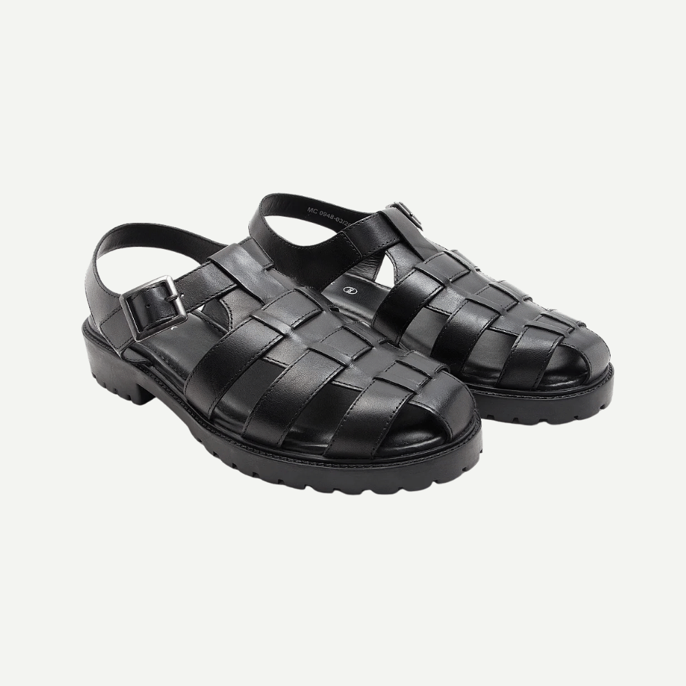 Schmitt-Black