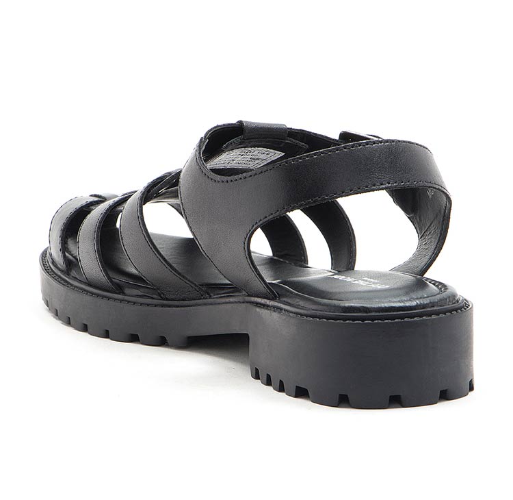 Schmitt-Black