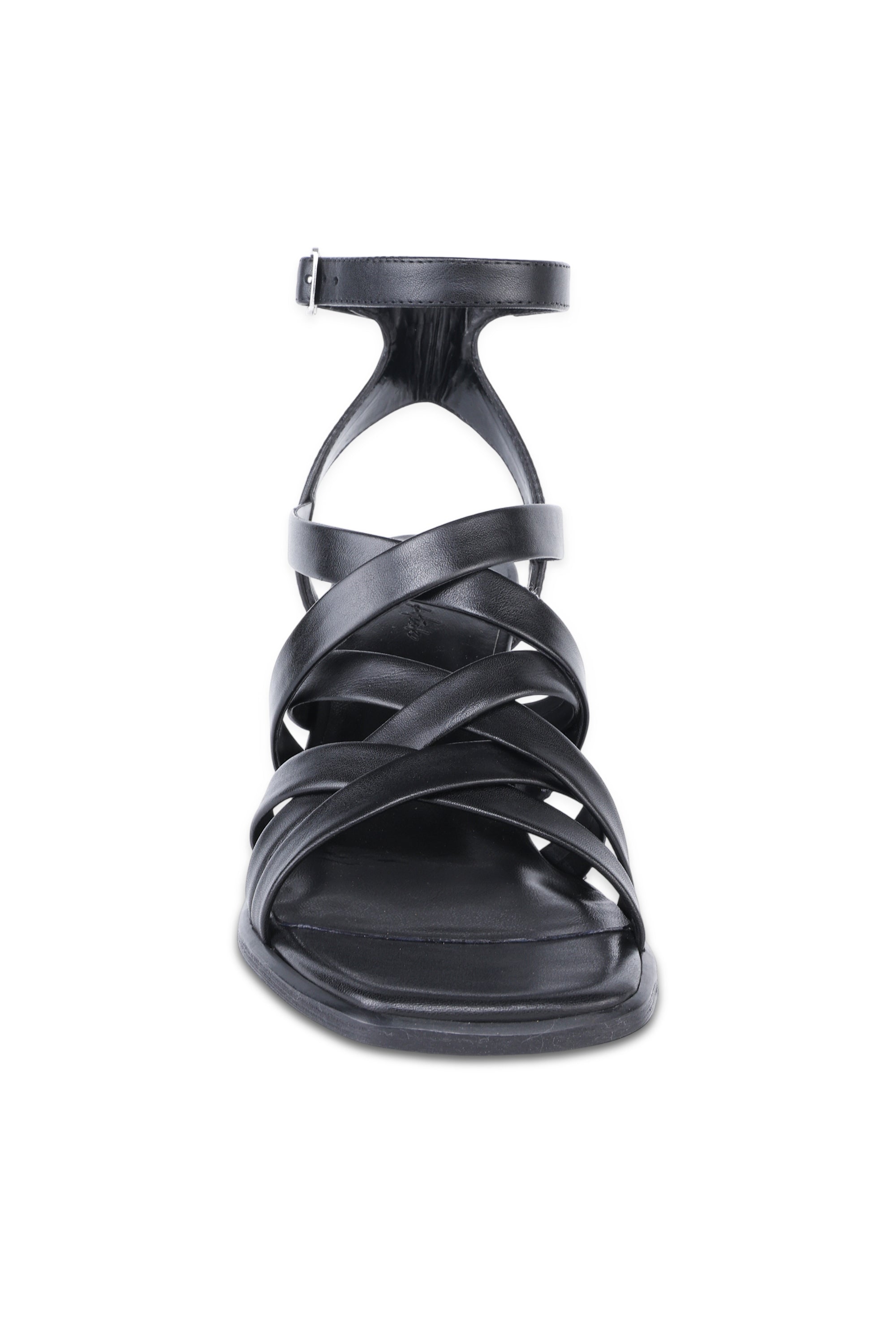 Zaria-Black