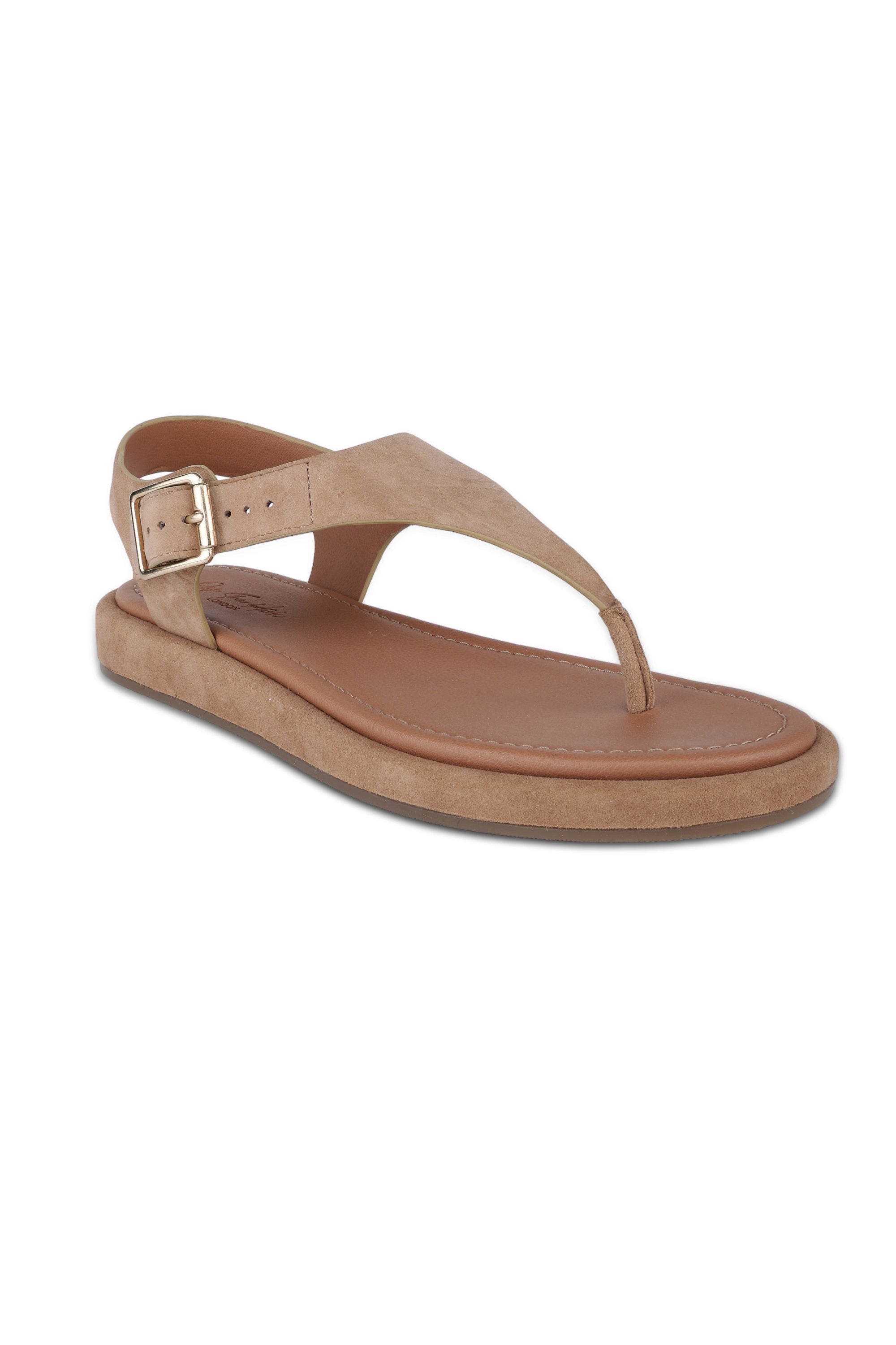 Adelie Blush