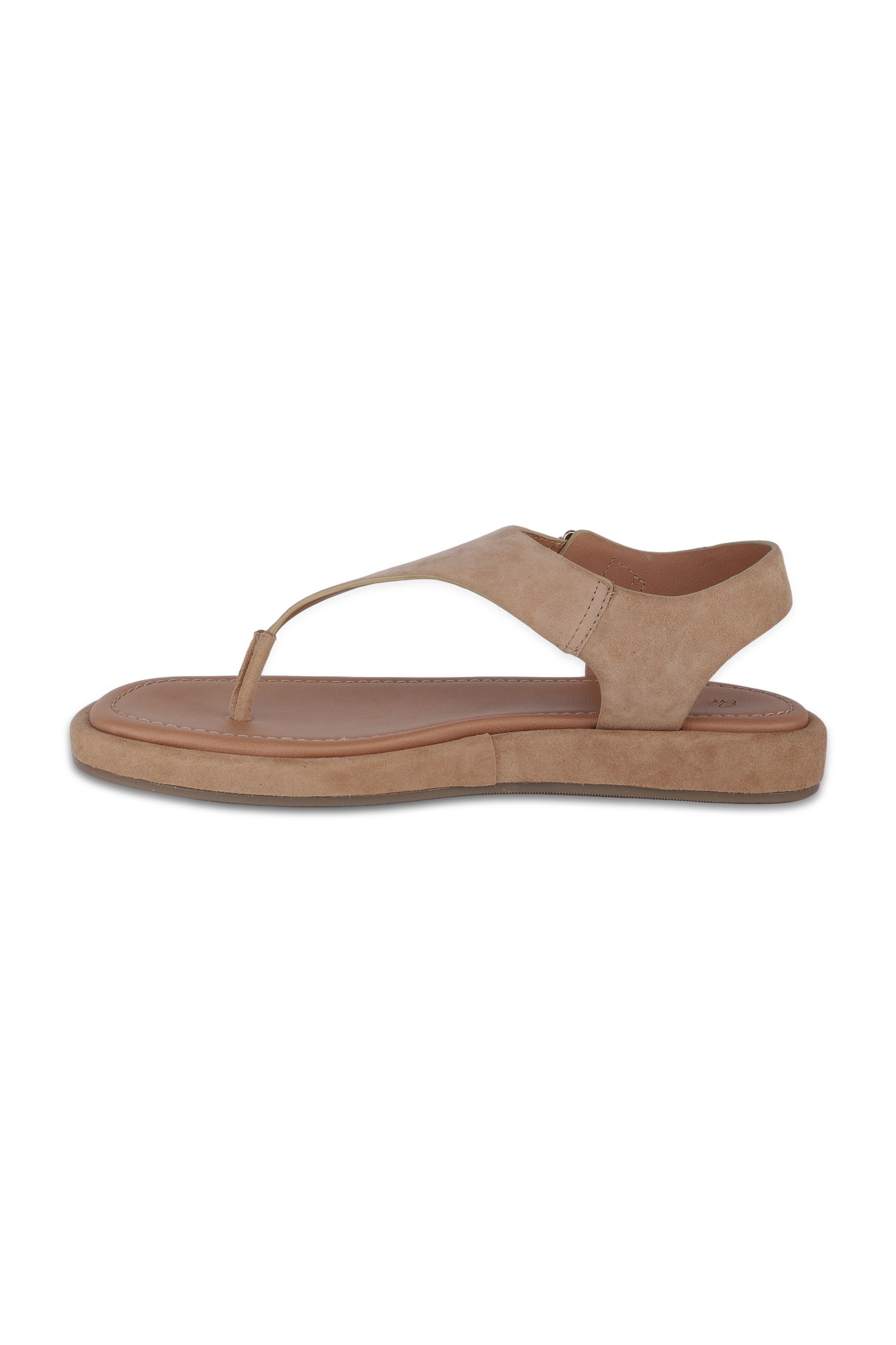 Adelie Blush