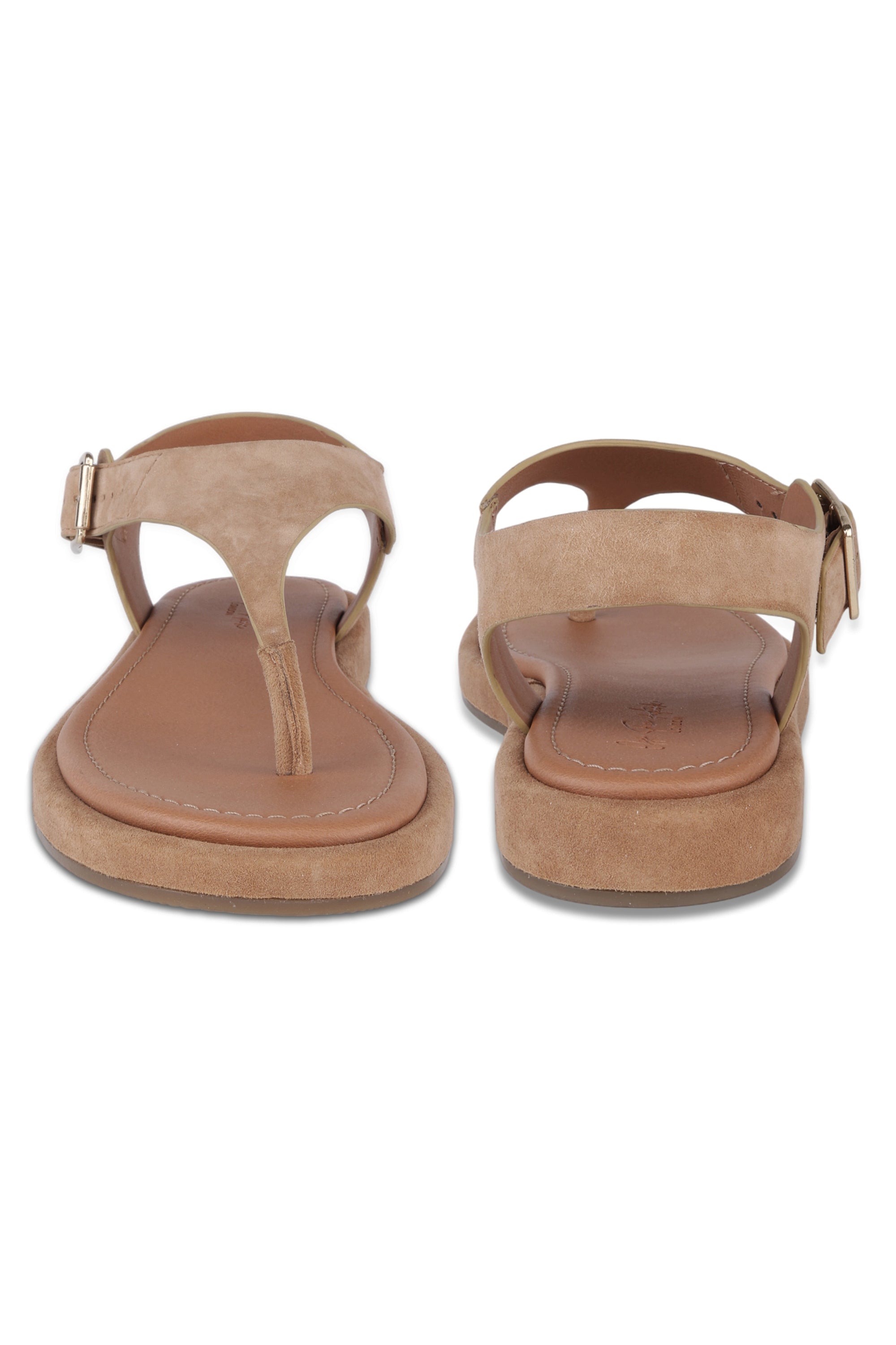 Adelie Blush