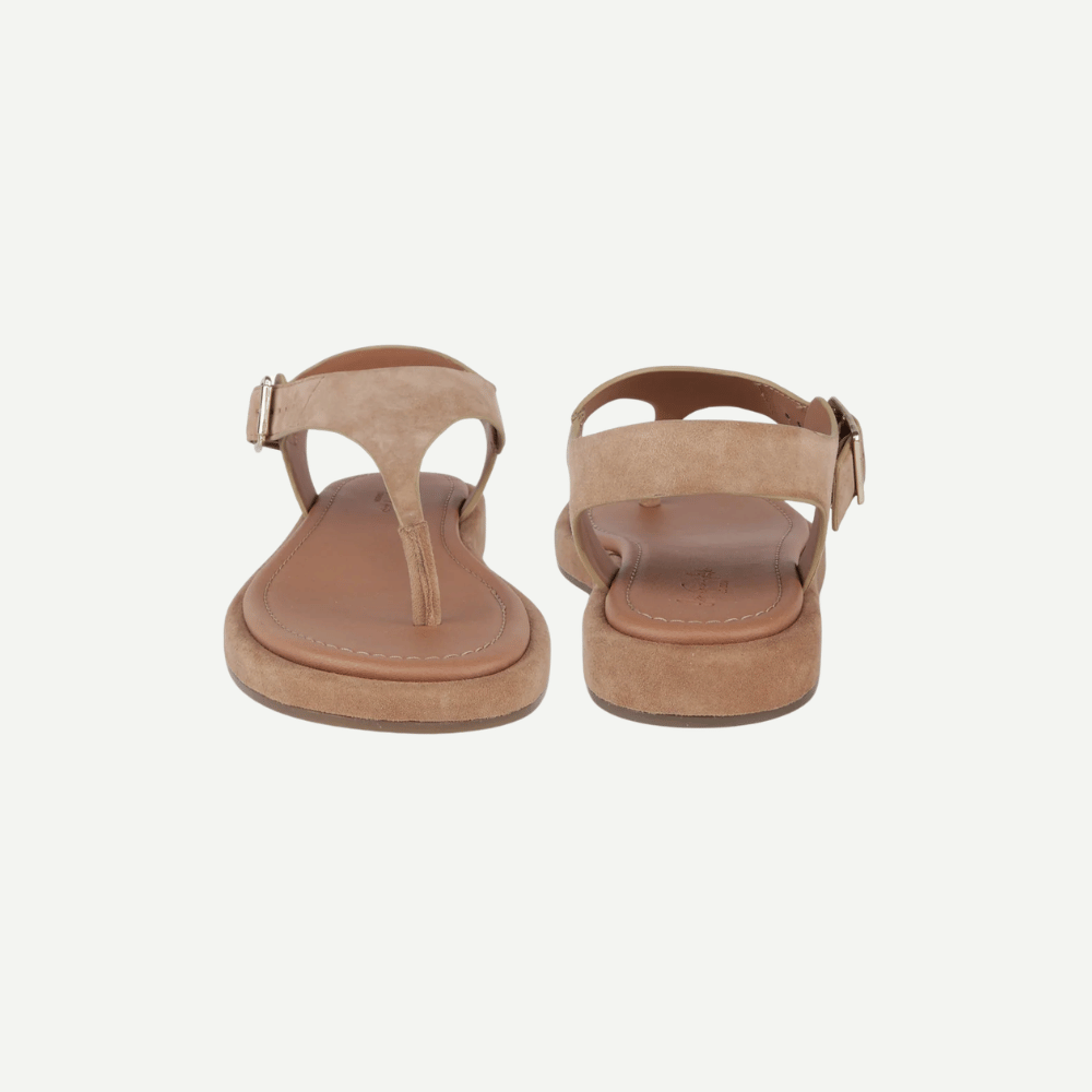 Adelie Blush