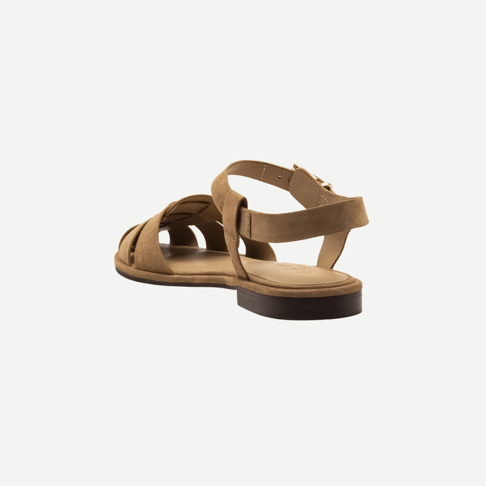 Lilly-Olive