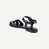 Lilly-Black