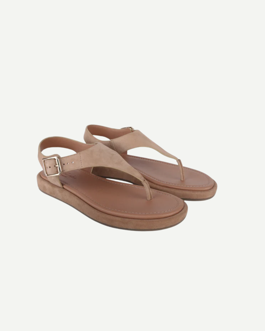 Adelie Blush
