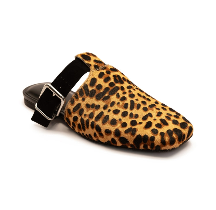 LEOPARD