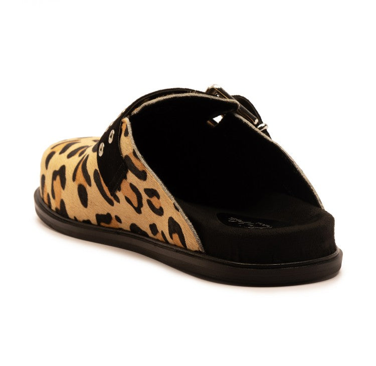 PADDINGTON LEOPARD