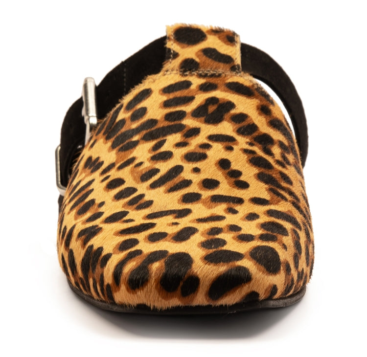 LEOPARD